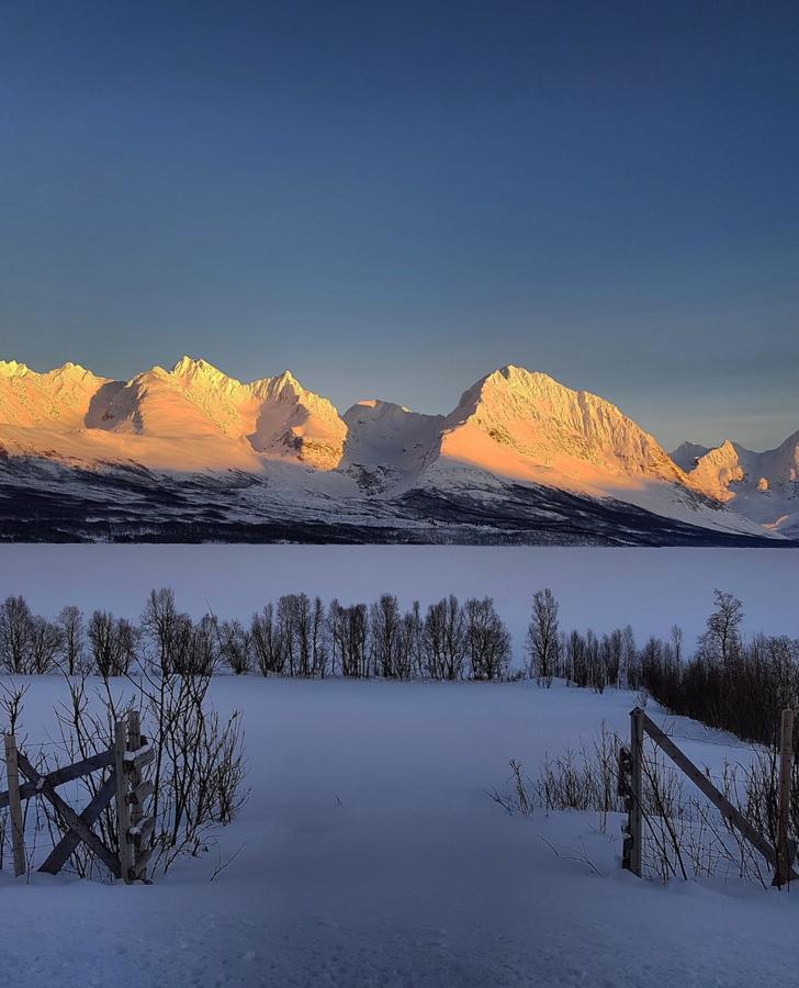 Lyngen Ski- Og Fiskecamp Lenangsoyra Exteriör bild