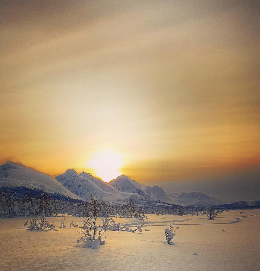 Lyngen Ski- Og Fiskecamp Lenangsoyra Exteriör bild