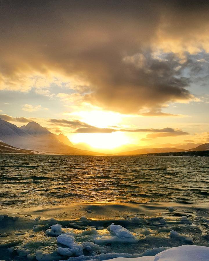 Lyngen Ski- Og Fiskecamp Lenangsoyra Exteriör bild
