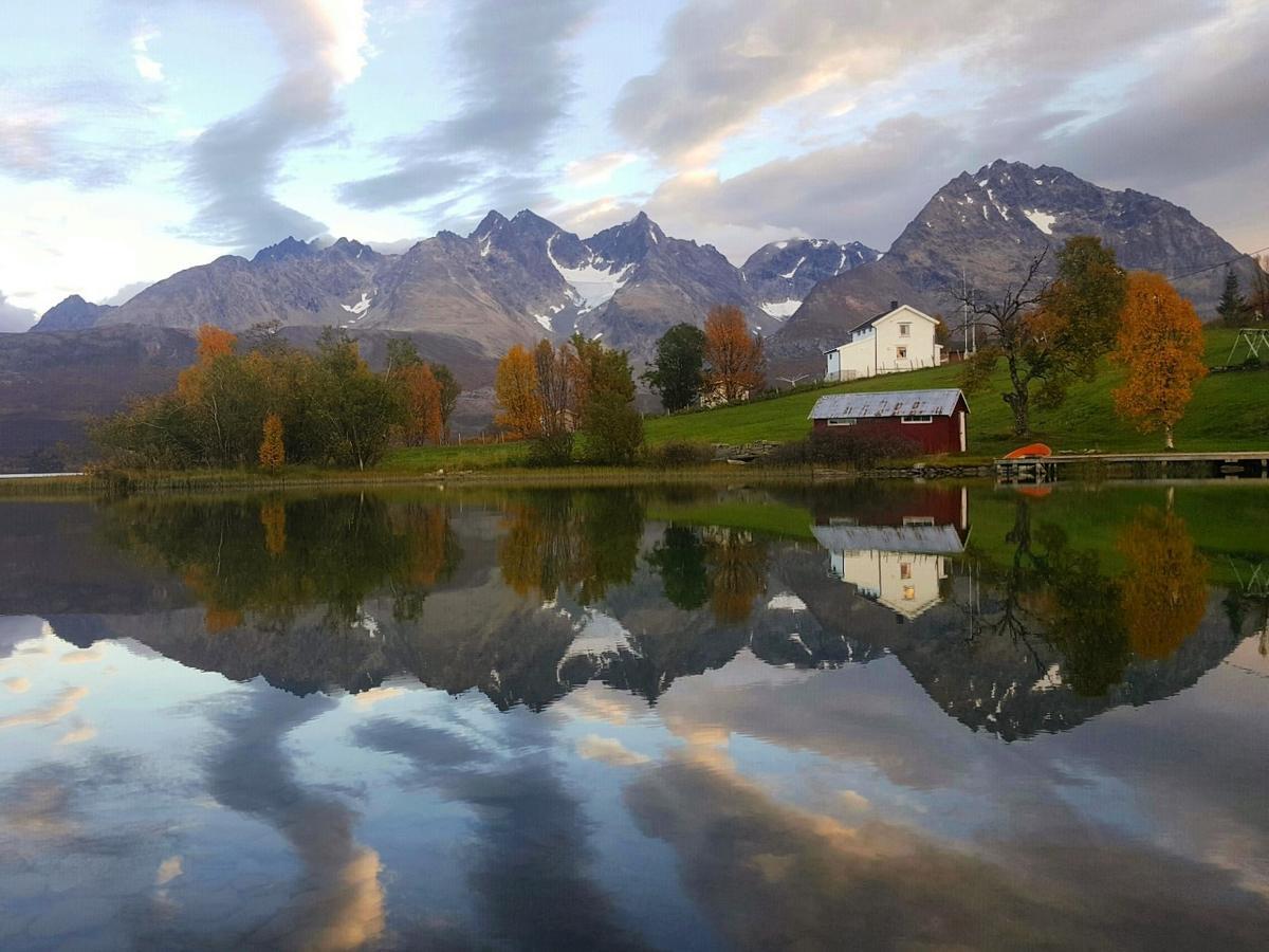Lyngen Ski- Og Fiskecamp Lenangsoyra Exteriör bild